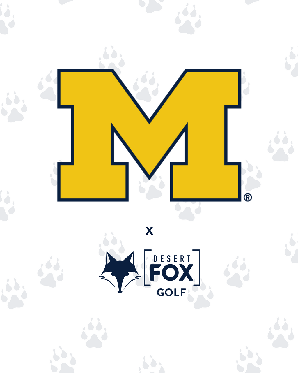 NCAA - Michigan